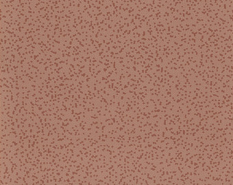 [200111122_31] Taralay Impression Compact - 1036 Nido Brick